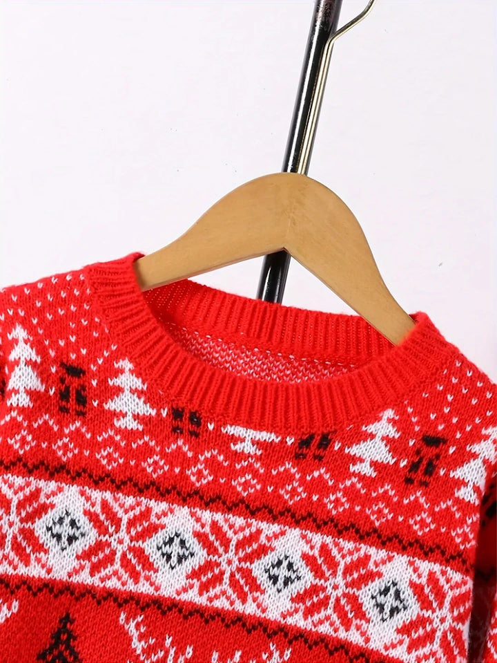 Caleb | Fair Isle Crewneck Mens Christmas Sweater