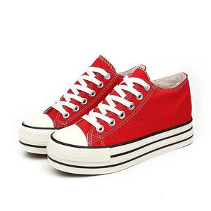 Converse Style Sneaker Shoes